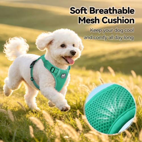 PoyPet Mesh Dog Harness, Reflective Breathable Puppy Vest for Small Dogs - color: Mint Green, size: XS