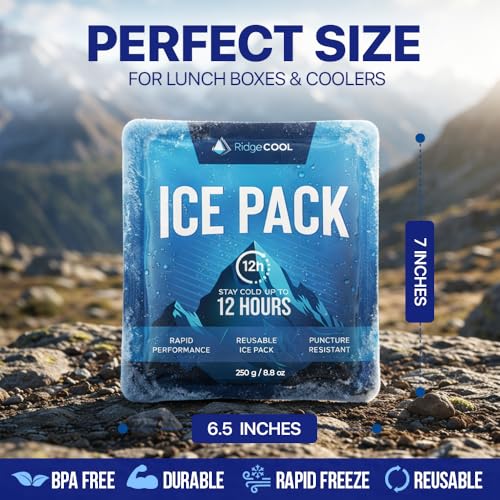 4 Pack Large Reusable Ice Packs for Coolers, Long Lasting Freezer Packs for Cooler Bags and Insulated Totes, Leakproof, BPA-Free, Food Safe - size: 4-Pack / 250g Each