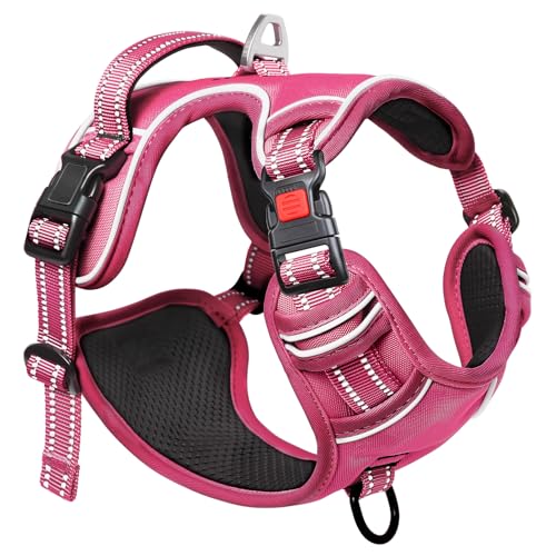 HEELE Dog Harness, Neck Release, No Pull Front Clip Vest, Reflective Rosy S - color: Lock Rosy, size: S (Pack of 1)