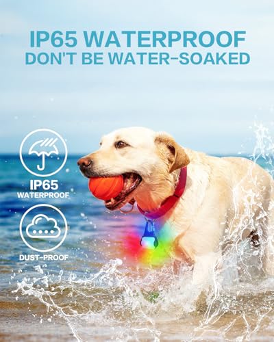 Dog Collar Light 2 Pack, Dog Lights for Night Walking 4 Modes, Waterproof Dogs Light Clip on Rechargeable, LED Dogs Walking Lights for Night Running, Camping, Climbing, Bike - color: RGB
