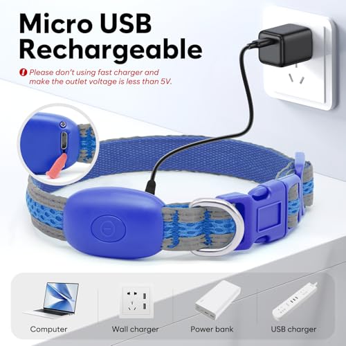 Flashseen LED Dog Collar, Light Up Dog Collar USB Rechargeable, Blue, XS - color: Blue, size: X-Small