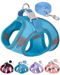 Dog Harness for Small Medium Sized Dog, Step in Puppy Harness and Leash Set Training Walking. (Blue, S) - color: Blue, size: Small