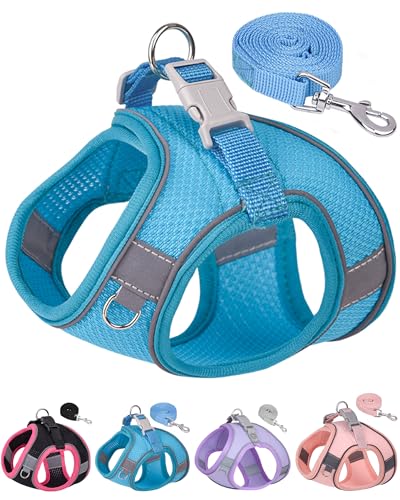 Dog Harness for Small Medium Sized Dog,Step in Puppy Harness and Leash Set Training Walking. (Blue, L) - color: Blue, size: Large