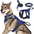 WINSEE All-in-One Reflective Dog Harness, Collar & Leash Set, No Pull with Adjustable Buckles, X-Large, Dark Blue - color: Dark Blue, size: X-Large