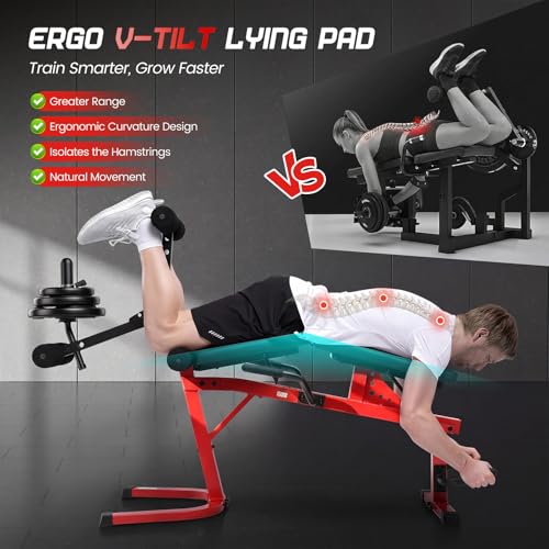 ANCHEER Leg Extension and Curl Machine, Adjustable Leg Workout Machine for Lower Body Training, 880LB Capacity Plate Loaded Leg Developer for Quads, Hamstrings & Glutes, Home Gym Equipment - color: Red