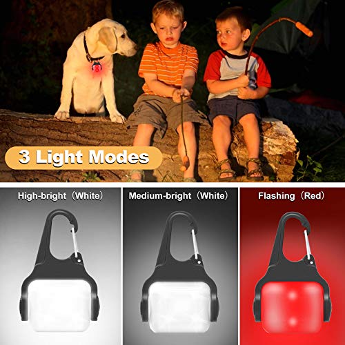 Dog Lights for Night Walking, Clip on Dog Collar Light - 3 Modes, USB-C Rechargeable, IP65 Waterproof, LED Safety Light for Running, Camping, Climbing, Bike - color: White-2pcs-3Modes