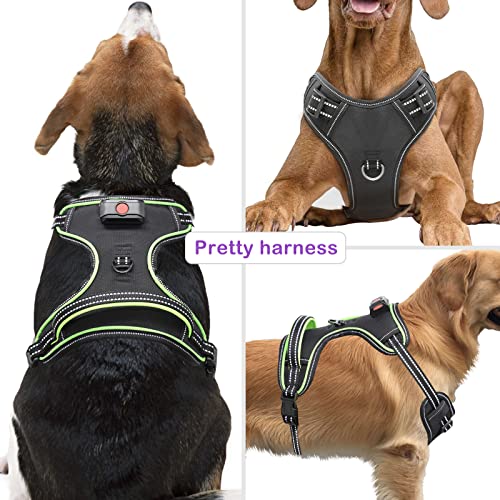 Light Up Dog Harness, Rechargeable LED Dog Vest for Night Walking - color: Black-Green, size: XS