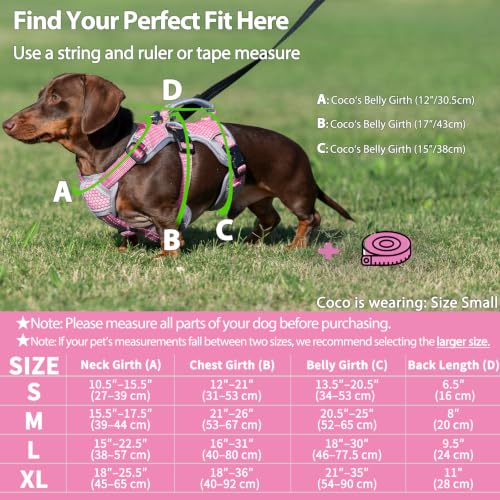 Huntboo Escape Proof Dog Harness, Dachshund Harness, Reflective Dog Harness with Handle, Durable,Adjustable Vest for Small Medium Large Dogs Walking, Training, and Running Gear (Pink,S) - color: Pink, size: Small(Pack of 1)