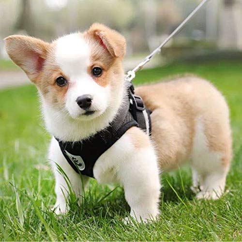 FEimaX Dog Harness and Leash Set for Walking, Soft Mesh Adjustable Easy Control Lightweight Cat Vest Harnesses with Reflective Strips, Escape Proof Small Dogs Cats Vests (Black, Large) - color: Black, size: Large