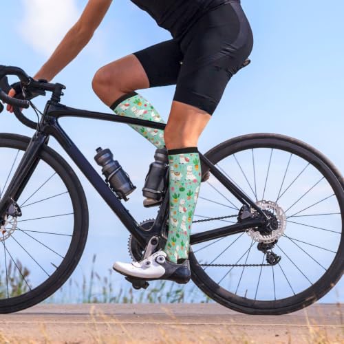 Avocado Compression Socks Women Men Knee High Stock for Running Work Support Nurses Travel - color: Alpaca Cactus