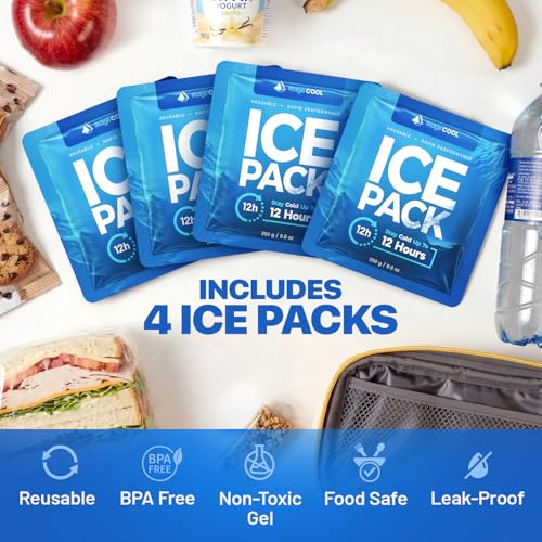 Ice Packs for Cooler, Reusable Ice Packs for Lunch Boxes, 4 Pack Long Lasting Freezer Packs, Leakproof Cooler Ice Packs for Lunch Bags and Coolers, BPA-Free, Food Safe - size: 4-Pack / 250g Each