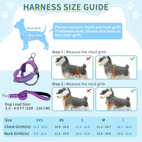 SlowTon No Pull Small Dog Harness and Leash Set with Front Clip - color: Purple, size: X-Small