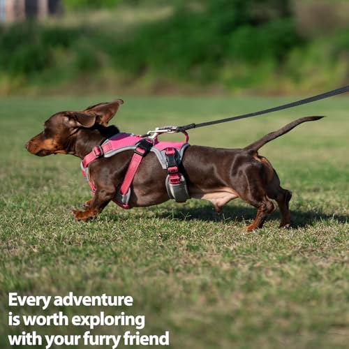 Huntboo Escape Proof Dog Harness, Dachshund Harness, Reflective Dog Harness with Handle, Durable,Adjustable Vest for Small Medium Large Dogs Walking, Training, and Running Gear (Rose red,M) - color: Rose red, size: Medium(Pack of 1)