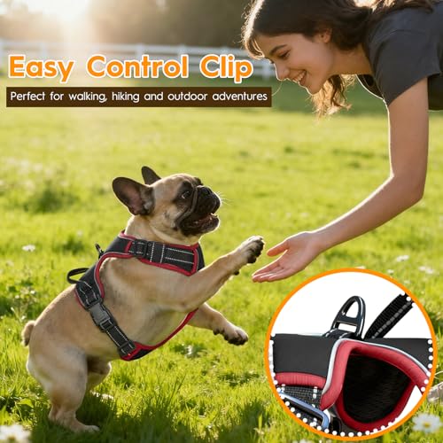 No Pull Dog Harness, No-Choke Soft Padded Reflective Dog Vest Harness with Front Clip & Top Handle, 2 Quick-Release Buckles, Adjustable for Small Medium Large Dogs - color: Black/Red, size: X-Small