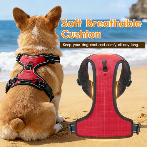 No Pull Dog Harness, No-Choke Soft Padded Reflective Dog Vest Harness with Front Clip & Top Handle, 2 Quick-Release Buckles, Adjustable for Small Medium Large Dogs - color: Red, size: X-Small