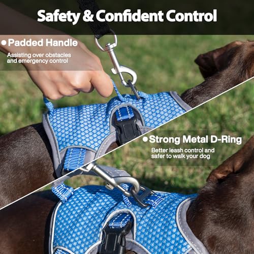 Huntboo Escape Proof Dog Harness, Dachshund Harness, Reflective Dog Harness with Handle, Durable,Adjustable Vest for Small Medium Large Dogs Walking, Training, and Running Gear (Sea Blue,S) - color: Sea Blue, size: Small(Pack of 1)