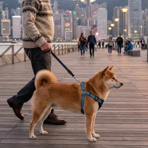Amabro 2PCS Double-End Safety Clips Adjustable Dog Collar Backup Straps