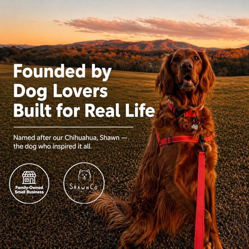 ShawnCo Dream Walk Pro No-Pull Dog Harness (Electric Blue, Small) - color: Electric Blue, size: Small