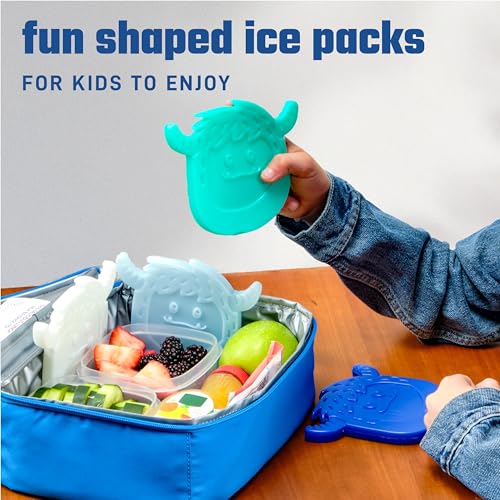 Fit & Fresh Cool Coolers Reusable Kids Lunch Box Ice Packs, 4pk - color: Yeti (4 Pack), size: 4 Pack