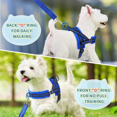Lukovee Small Dog Harness and Leash Set, No Pull Soft Padded, 4ft Leash,XXS - color: Blue, size: XXS ( Chest 11.5'' ~ 15'')