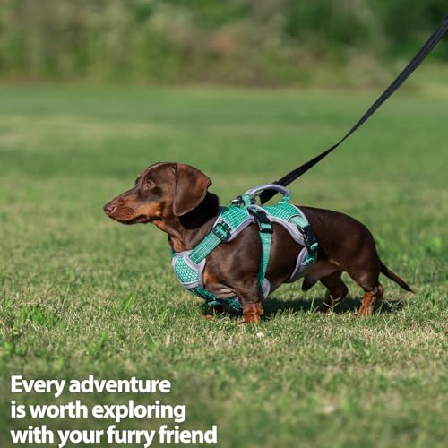 Huntboo Escape Proof Dog Harness, Dachshund Harness, Reflective Dog Harness with Handle, Durable,Adjustable Vest for Small Medium Large Dogs Walking, Training, and Running Gear (Mint Green,S) - color: Mint Green, size: Small(Pack of 1)