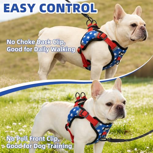 PUPTECK Dog Harness Small Sized Dog, Step in Adjustable Reflective Dog Vest Harness Escape Proof, No Pull Soft Padded Harness Easy Control, Star, M - color: Blue(Stars), size: M (CHEST: 14.5"-20")