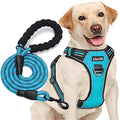 tobeDRI No Pull Dog Harness Adjustable Reflective Oxford Easy Control Medium Large Dog Harness with A Free Heavy Duty 5ft Dog Leash, Blue, M - color: Blue, size: Medium
