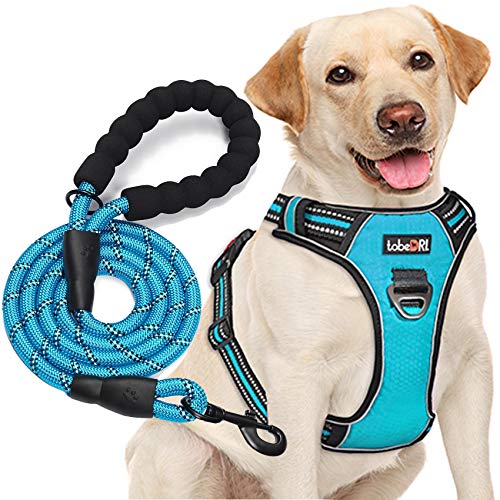 tobeDRI No Pull Dog Harness Adjustable Reflective Oxford Easy Control Medium Large Dog Harness with A Free Heavy Duty 5ft Dog Leash, Blue, M - color: Blue, size: Medium