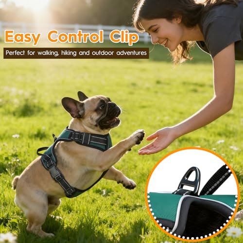 No Pull Dog Harness, No-Choke Soft Padded Reflective Dog Vest Harness with Front Clip & Top Handle, 2 Quick-Release Buckles, Adjustable for Small Medium Large Dogs - color: Tundra Green, size: X-Small