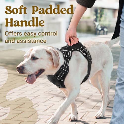 rabbitgoo Large Dog Harness, Easy Wear with 3 Buckles and Lift Handle - color: Black, size: Small