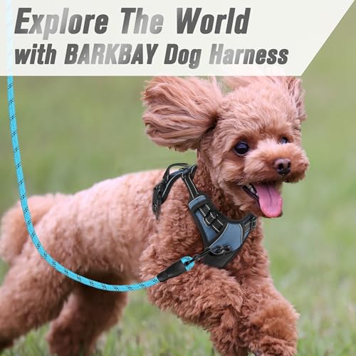 BARKBAY Dog Harness No Pull for Small Sized Dog Front Back Clips,Dog Vest - color: Navy, size: X-Small(Chest:15.5-19.5”)