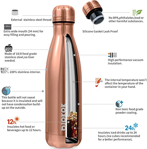 BJPKPK 17 oz Insulated Water Bottle, Stainless Steel Flask, Leak Proof - color: Shining Rose Gold, size: 17 Ounces