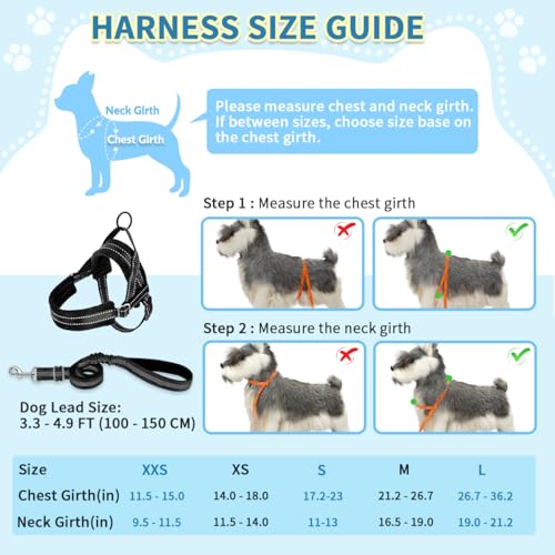 SlowTon No Pull Small Dog Harness and Leash Set with Front Clip - color: Black, size: Small