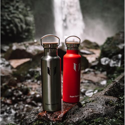 Super Sparrow Stainless Steel Water Bottle Kids - 500ml - Insulated Metal - color: Stainless steel, size: 16.9 Ounces