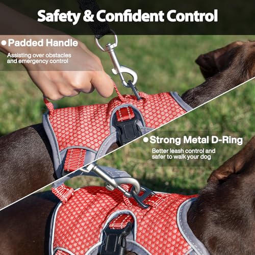 Huntboo Escape Proof Dog Harness, Dachshund Harness, Reflective Dog Harness with Handle, Durable,Adjustable Vest for Small Medium Large Dogs Walking, Training, and Running Gear (Red,S) - color: Red, size: Small(Pack of 1)