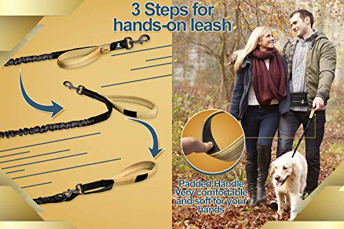 SparklyPets Hands Free Dog Leash, Medium & Large Breeds, Premium Gold - color: Premium Gold, size: 1 dog M/L