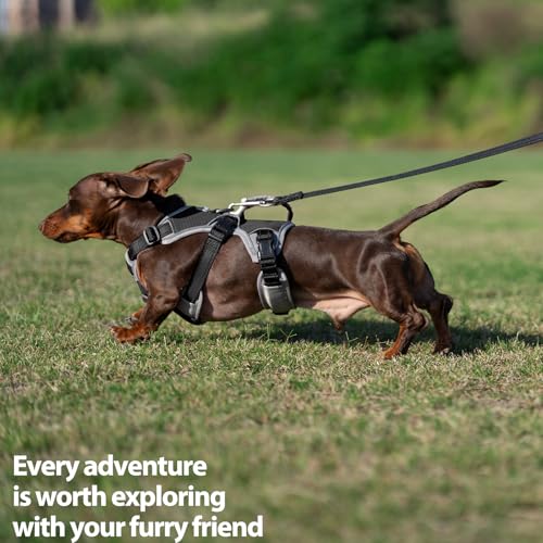 Huntboo Escape Proof Dog Harness, Dachshund Harness, Reflective Dog Harness with Handle, Durable,Adjustable Vest for Small Medium Large Dogs Walking, Training, and Running Gear (Black,M) - color: Black, size: Medium(Pack of 1)