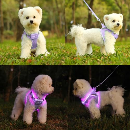 Light Up Dog Harness, Rechargeable LED Dog Harness for Small Medium Dogs - color: Lavender Purple, size: XS