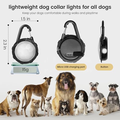 Super Bright Dog Collar Light for Night Walking, 4 Modes, Waterproof, 2 Pcs
