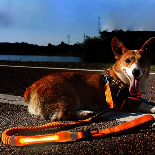 2 Pack LED Light for Dog Leash Harness, Light Up Dog Collar with Nylon Stickers, Waterproof Glow Light Easy to Attach to Collar Leash and Harness, Safety LED Light Up Band for Dogs at Night Walking - color: Green+Orange