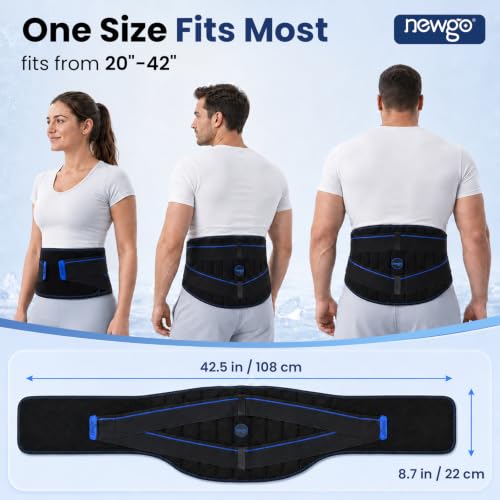 NEWGO Ice Pack for Lower Back Pain Relief, 2 Hours Long-Lasting - size: Ice Cube Pack