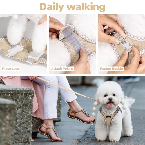 Petank Step in Dog Harness No Pull and Leash for Small Medium Dogs Cats. - color: Brown, size: XXS