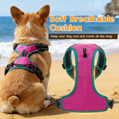 No Pull Dog Harness, No-Choke Soft Padded Reflective Dog Vest Harness with Front Clip & Top Handle, 2 Quick-Release Buckles, Adjustable for Small Medium Large Dogs - color: Pink/Turquoise, size: X-Small