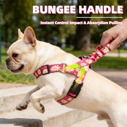 PUPTECK No Pull Dog Harness Small Sized Dog, Adjustable Reflective Pet Vest Harness with Bungee Handle, Escape Proof No Choke Harness for Small Dogs Walking Training, Fuschia Daisy M - color: Fuschia, size: M (NECK: 16.5"-19.5", CHEST: 21.5"-28")
