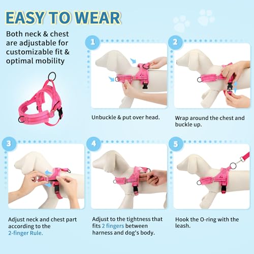 Lukovee Small Dog Harness and Leash Set, No Pull Soft Padded, 4ft Leash, XS - color: B-pink, size: XS ( Chest 14'' ~ 18'')