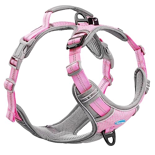 ThinkPet No Pull Harness for Small Medium Large Dogs, Reflective Padded Vest with Handle, Adjustable Star Style - color: Bright Pink, size: L(Chest:19"-30")