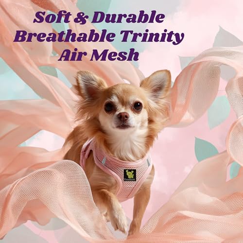 EcoBark Teacup Dog Harness, Soft XXXS Puppy Halter Vest, Baby Pink - color: Baby Pink, size: XXXS- 2 to 3 lbs- Chest up to 10 in (Pack of 1)