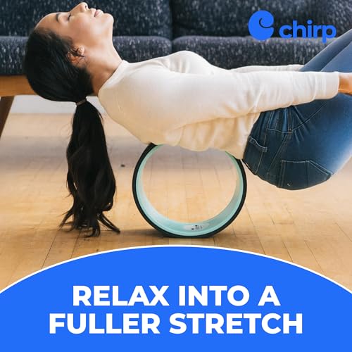Chirp Wheel+ Foam Roller 4-Pack, Back & Neck Pain Relief, Mint - size: 4-Pack Mint
