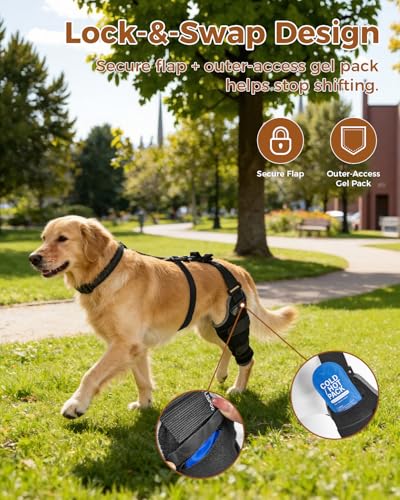 Dog Knee Brace for ACL/CCL with Hot & Cold Gel Pack, Left Leg-L - size: L