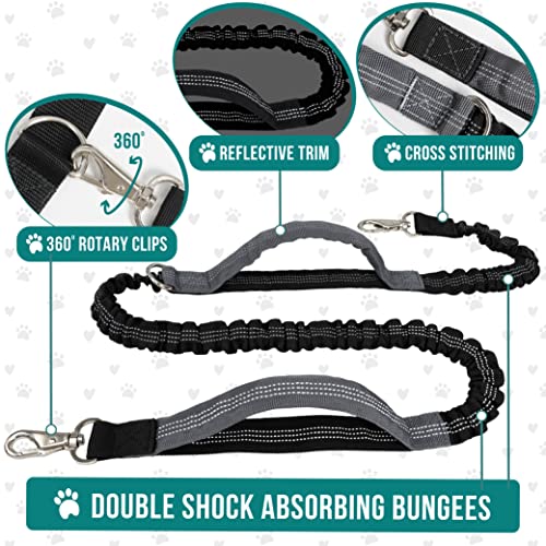 PetAmi Hands Free Dog Leash with Waist Running Belt Bag, Double (Purple) - color: Purple, size: 2 Leashes